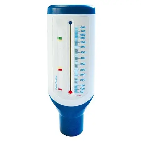 [ASY25-FIS-0005] Peak Flow 